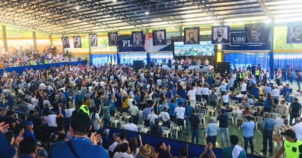 La Nación / Internas PLRA: medida cautelar impide avanzar en cronograma electoral del TEI