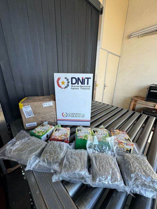Frustran nuevo intento de ingreso de droga a través del aeropuerto - 1000 Noticias