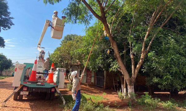 ANDE intensifica mantenimiento preventivo en redes eléctricas de Alto Paraná
