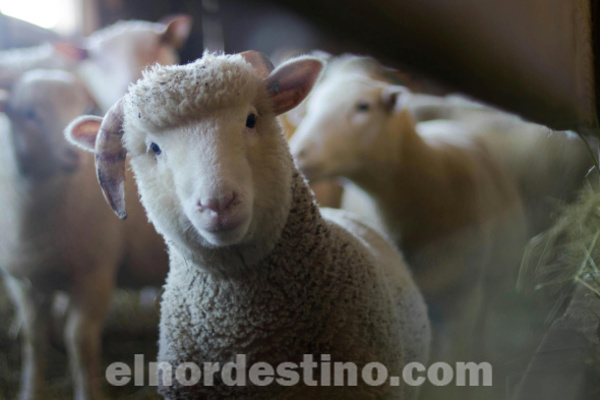 Feria Ra’arõvo: Más de tres mil familias agricultoras de diversos departamentos del país se beneficiaron durante Semana Santa - El Nordestino