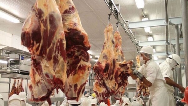 La faena de abril no superaría las 150.000 cabezas, el peor registro en cuatro años