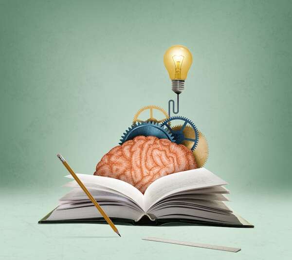 Día del Libro: cómo la neurociencia explica lo que pasa en tu cerebro cuando leés  - Estilo de vida - ABC Color
