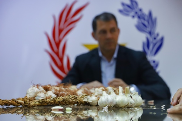 El ajo toma impulso agrícola en General Artigas