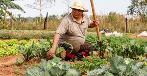 El crecimiento económico es clave para el desarrollo del país