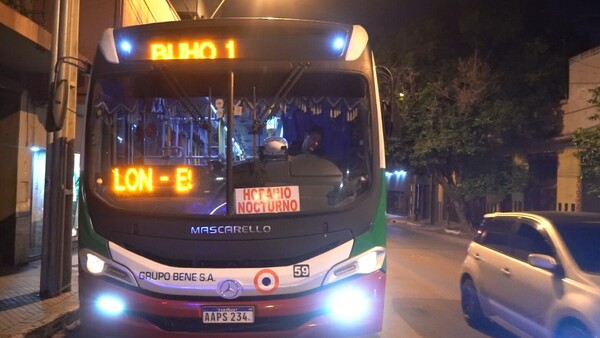Transporte nocturno: Más de 15.000 personas utilizaron los buses búhos en dos meses