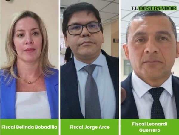 Mafia de los Pagarés: Fiscalía solicita rechazo a incidente de nulidad absoluta para abogada de Vanessa y Asociados