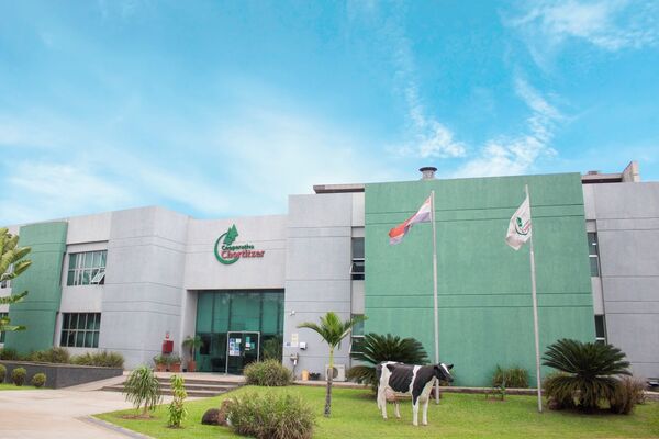 Orie Toews: “En nuestros productos trabajamos hacia una calidad superior para los consumidores” | Locales | 5Días