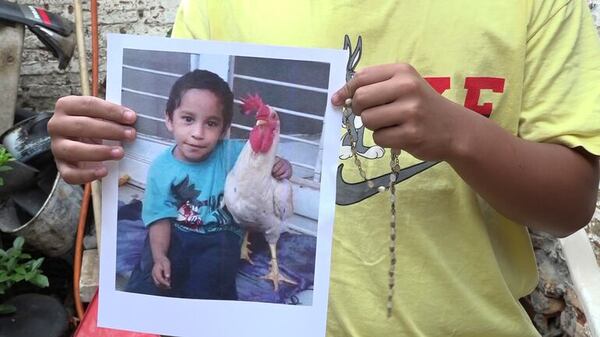 La historia del niño que quiso darle su gallo al papa Francisco - Nacionales - ABC Color