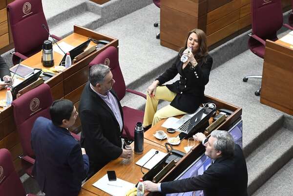 AUDIO. Se levanta la sesión en senado y se evita tratar proyectos contra violencia intrafamiliar - Periodísticamente - ABC Color