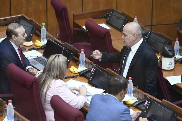 Senado rechaza tribunales de violencia contra la mujer y sanciona crear juzgados de “violencia familiar” - Política - ABC Color