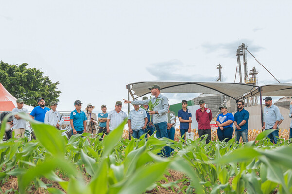 Agrotec avanza en la producción de semillas certificadas de soja de alto rendimiento | Economía y Finanzas | 5Días