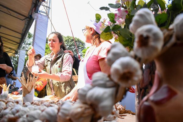 Productores de ajo de Gral. Artigas recibieron inversión de más de G. 3.000 millones para impulsar la zafra - .::Agencia IP::.