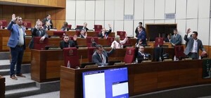 Senado sancionó el proyecto de ley que crea juzgados y tribunales especializados en violencia familiar