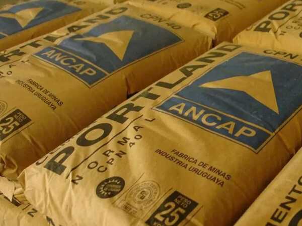 Negocio del portland acumula pérdidas por más de US$ 800 millones en 25 años | Internacionales | 5Días