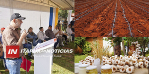 GOBERNACIÓN DE ITAPÚA IMPULSA RELANZAMIENTO DEL CULTIVO DE AJO EN GENERAL ARTIGAS