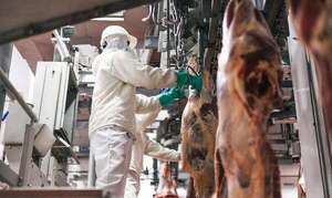 Estiman que la faena de abril no superaría las 150 mil cabezas: “el peor registro en cuatro años”  - Economía - ABC Color