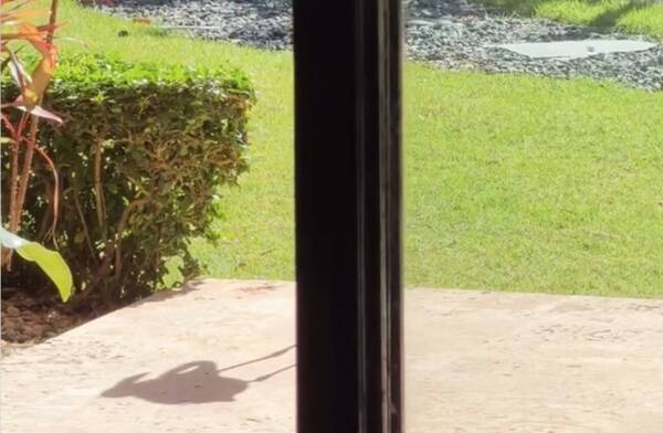 [VIDEO] Bien “tostada” y con una “mascota” inesperada: el “variado” día de playa que tuvo Nadia
