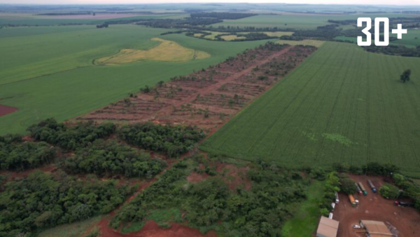 Alerta ambiental en Canindeyú: MADES anuncia sumario a responsable - trece