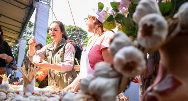 Productores de ajo de Gral. Artigas reciben G. 3.000 millones de inversión para impulsar la zafra