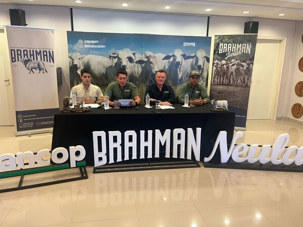 Neuland será sede de la Expo Nacional Brahman, con más de 350 ejemplares en pista