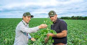 La Nación / Agrotec avanza en producir semillas de soja certificadas de alto rendimiento