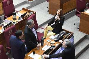 Senado autoriza nuevo edificio para juzgados de Lambaré y posterga tribunales en Paraguarí - Política - ABC Color
