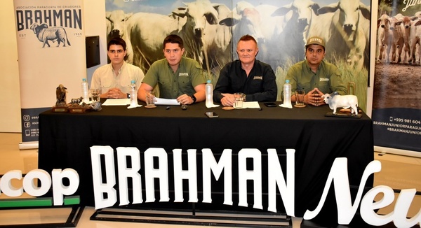 La Expo Nacional Brahman reunirá a más de 350 ejemplares en pista y corral