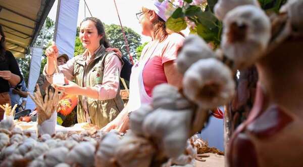 Productores de ajo de Gral. Artigas recibieron inversión de G. 3.000 millones para impulsar la zafra