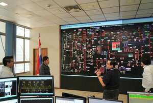 Senado pide informe urgente a la ANDE sobre crisis eléctrica pronosticada para el 2029 - Economía - ABC Color