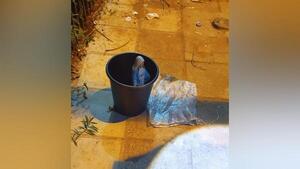 En un balde, intentaron hurtar imagen de una virgen de iglesia en Encarnación