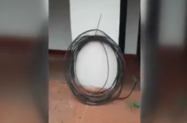 Aprehenden a dos personas por robo de cables en Lambaré - SNT