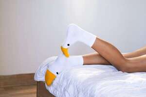 Sexo con las medias puestas: ¿placer asegurado? - Sexualidad - ABC Color