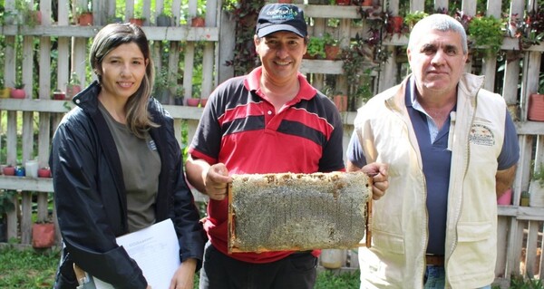 La apicultura en perfecta sinergia con la producción agropecuaria y forestal