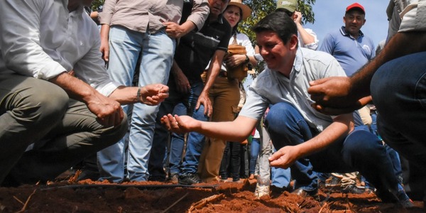 Producción de ajo: una oportunidad para que el pequeño productor se convierta en agroexportador • PARAGUAY TV