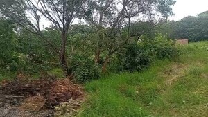 Municipalidad de Cambyreta impulsa campaña de limpieza en predios baldíos y espacios públicos