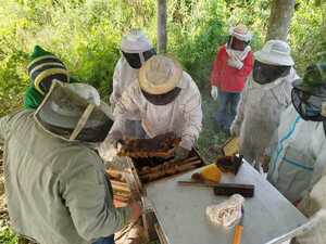 Apicultores del Guairá participan en el Programa Hambre Cero con miel de abeja de alta calidad - El Trueno