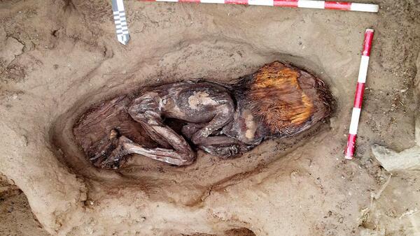 Descubren la tumba de una mujer de casi 5.000 años en civilización más antigua de América