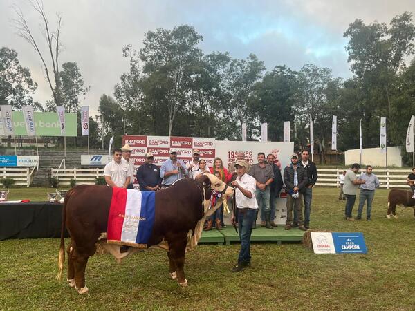 Llano premió a “ejemplares dignos de la raza” en la Nacional de Braford adultos de Bozal