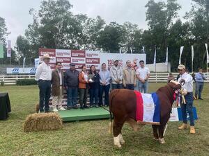 Brillo y genetica del futuro en la 8ª Nacional Braford de Terneros
