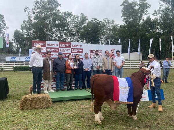 Brillo y genetica del futuro en la 8ª Nacional Braford de Terneros