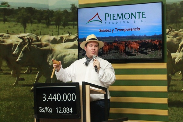 Piemonte remata 1.000 vacunos de invernada de Ñemotenonde e invitados, este sábado