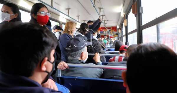La Nación / Joven denuncia que un chofer de colectivo usaba el celular mientras conducía