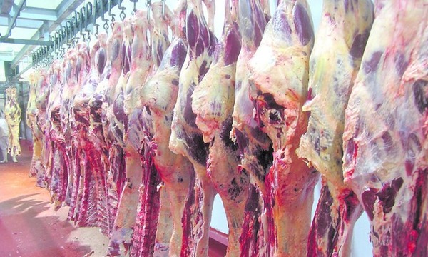 Inundaciones y falta de ganado dispara el precio de la carne, alerta la ARP - OviedoPress