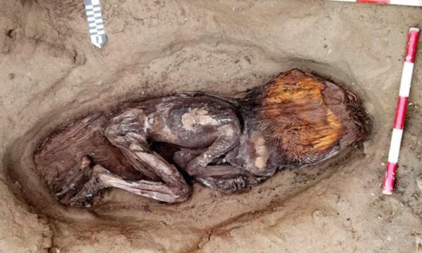 Hallan la tumba de una mujer de casi 5.000 años en civilización más antigua de América