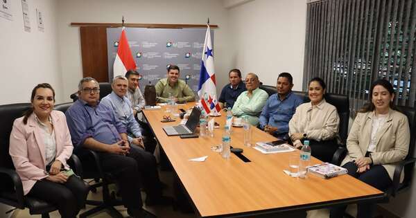 La Nación / Primera etapa de la auditoría de Panamá para exportar carne finalizó de forma exitosa