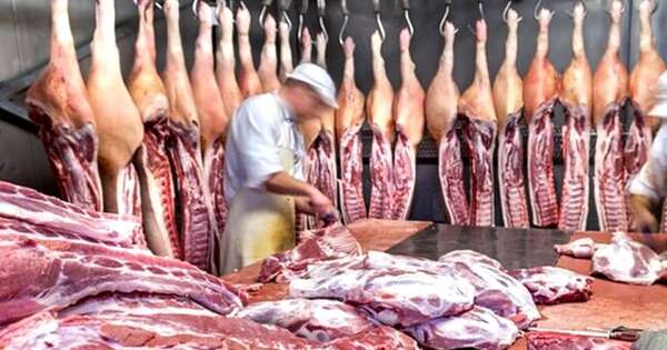 La Nación / Habilitan el mercado argentino para las exportaciones de carne y menudencias porcinas frescas