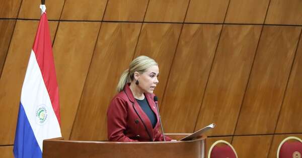 La Nación / Senadores y periodistas abordan libertad de expresión y protección hacia trabajadores de prensa