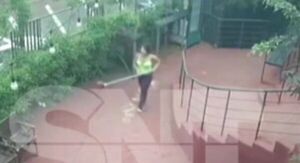 Ahuyentó a un delincuente con una escoba en Encarnación - SNT