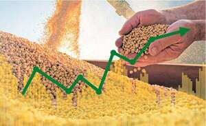 Herramientas financieras para productores - ABC Campo - ABC Color