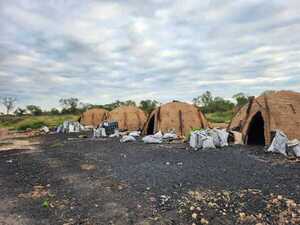 Daño por la tala de 2.900 ha de bosque es de US$ 3 millones y se “repara” con G. 50 millones - El Observador
